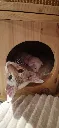 att.SKM523EqpBpDTlkUYdvqABx-qFWvhUhr4Bj6_mhQ6sM.webp