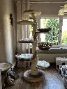 IMG_1459.webp