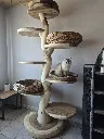 att.ZlSVlcvyjV8t9aEJoa3VywlkHRB7bYDQF87neo1eOI0.webp