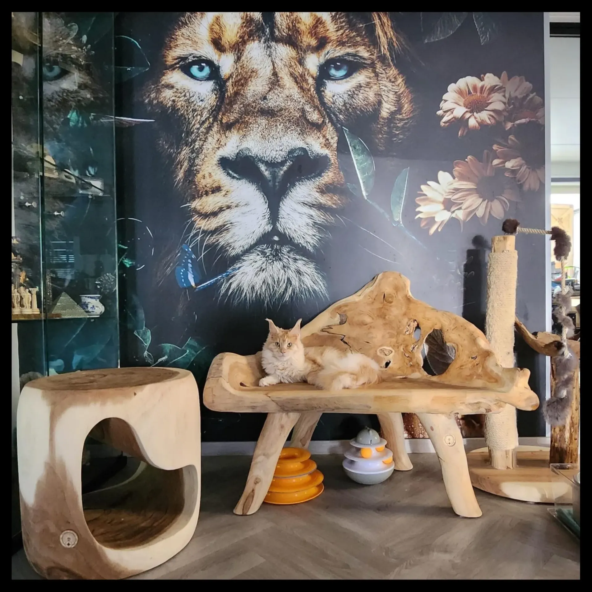 Teak Root Chair
