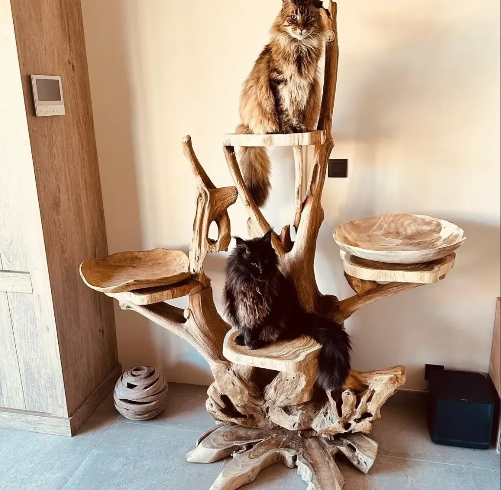 Villa Rustique (Villa Rustique 1m50)