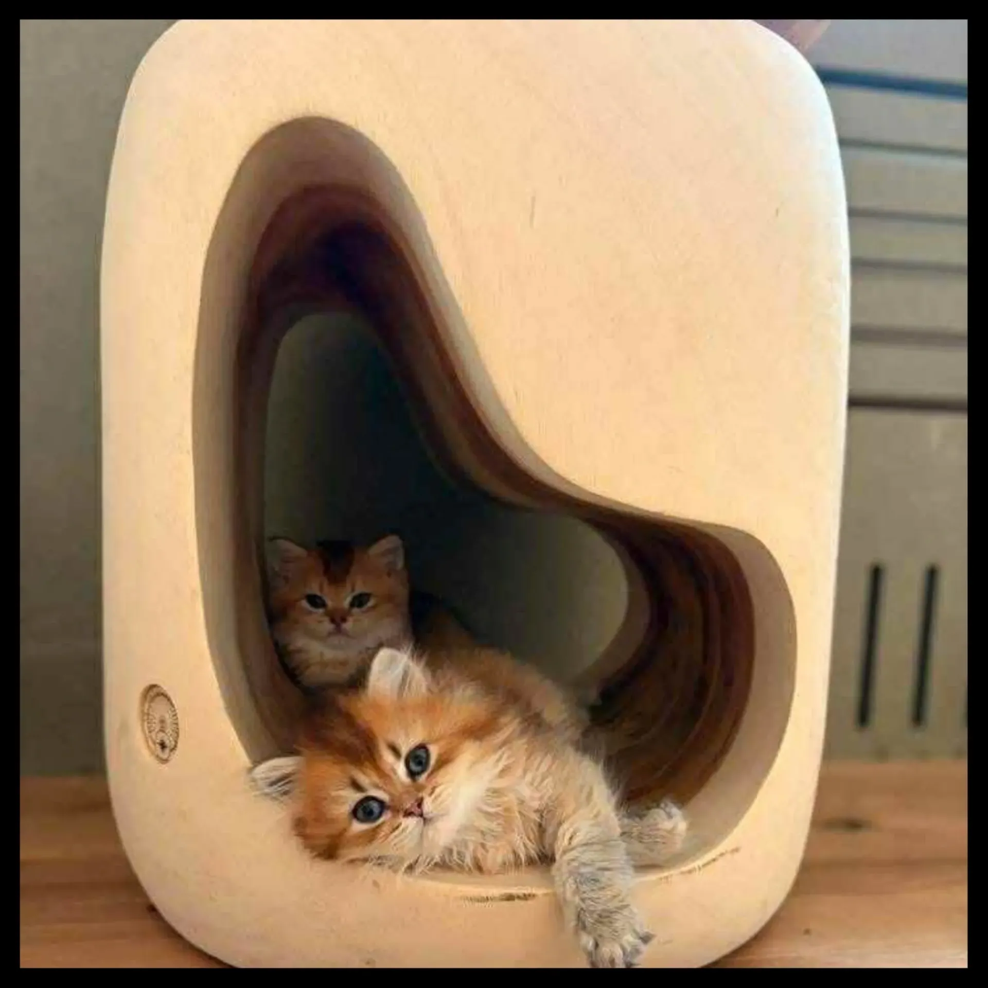 Holle zitblok — Holle Blok