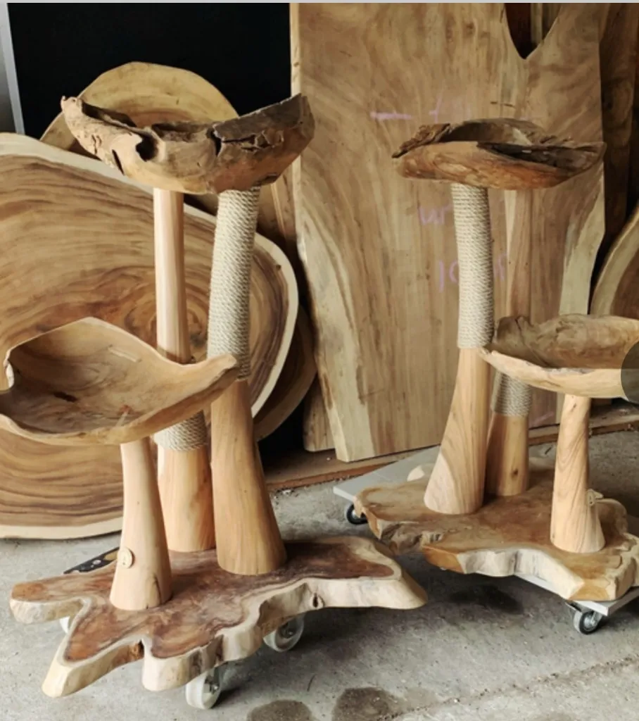 Victor (Victor with thick, robust teak shell)