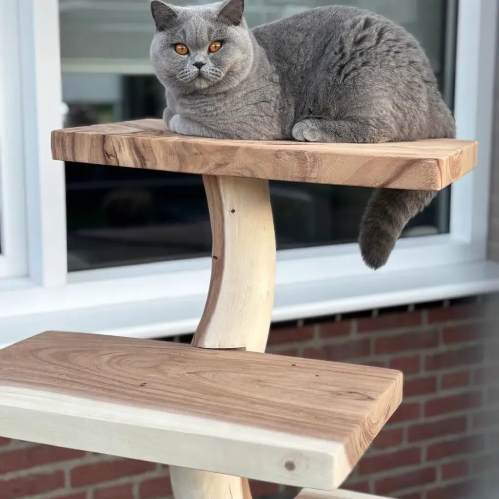 City XL (City XL 1m50)