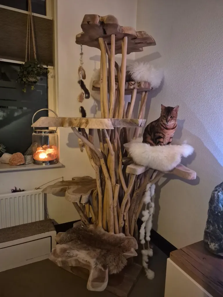 Aldea Tree Rustique — 1m80