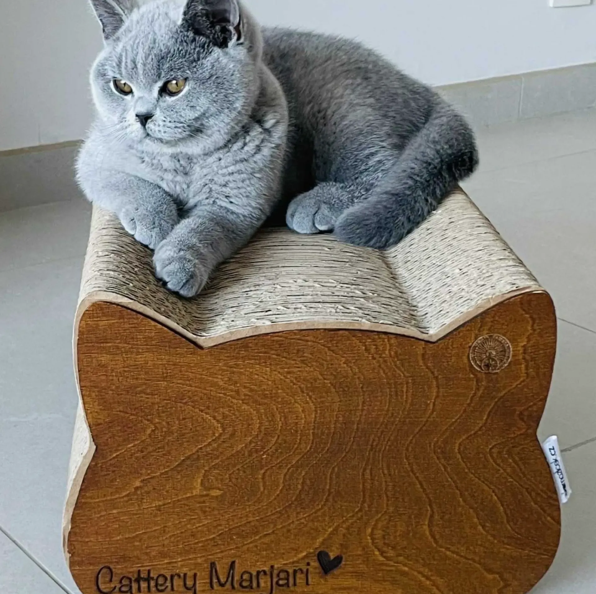 Houtkleur
