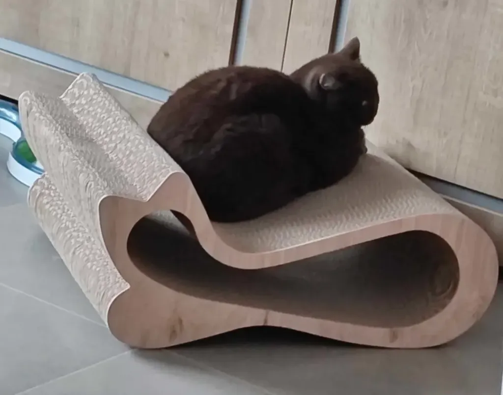 Cozy Exclusive Scratching Cardboard (Cozy Medium)