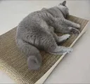 Cat Scratching Cardboard Mini Lounge