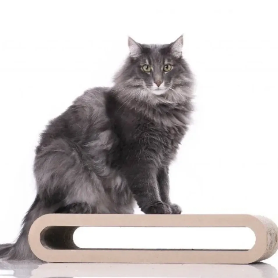 Krabkarton Play exclusive  (Play Medium)