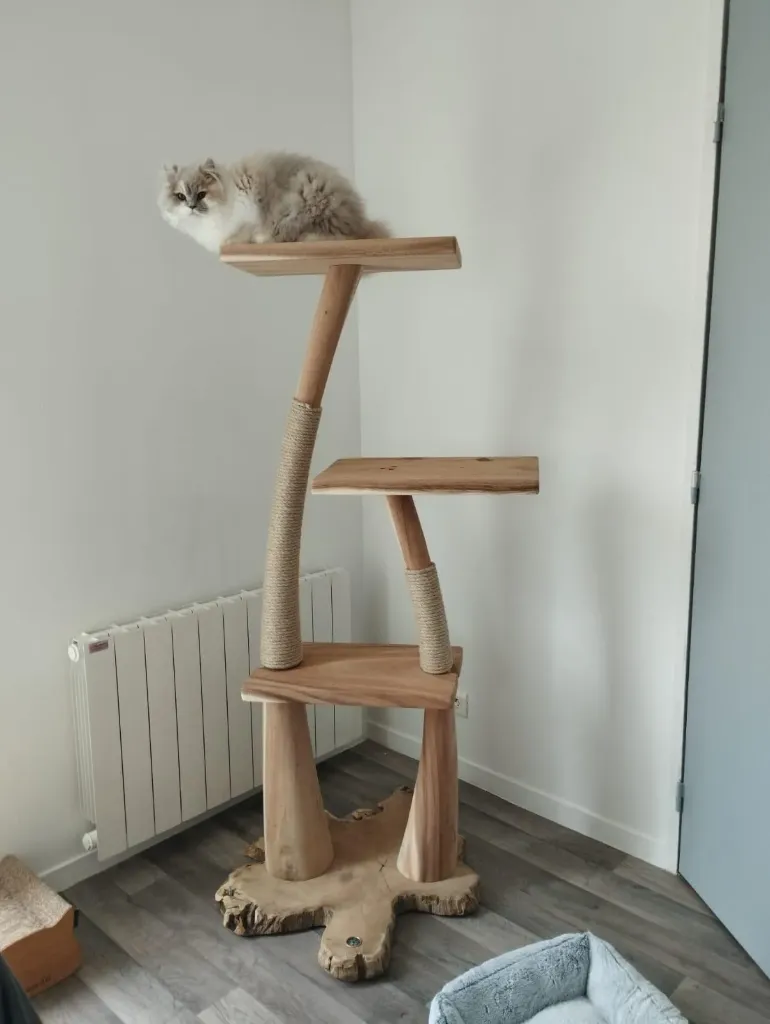 Diddi XL