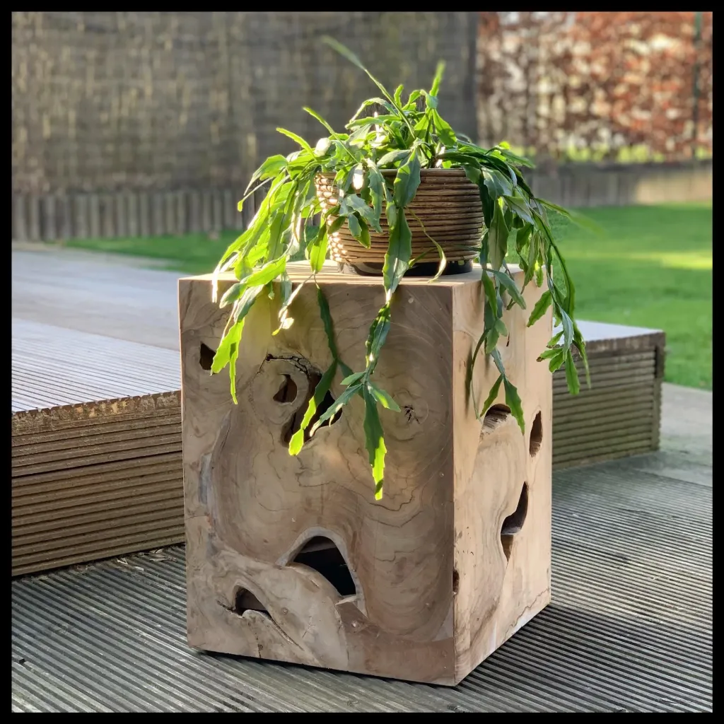 Cube "Kusi"