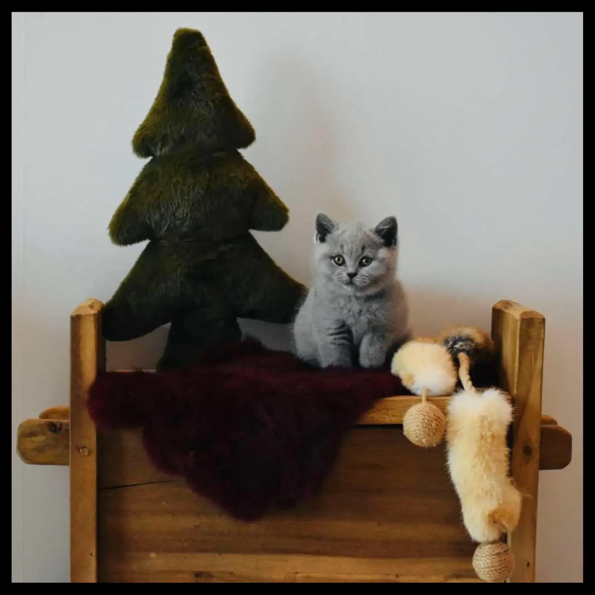 Boîte en bois d'Himalaya