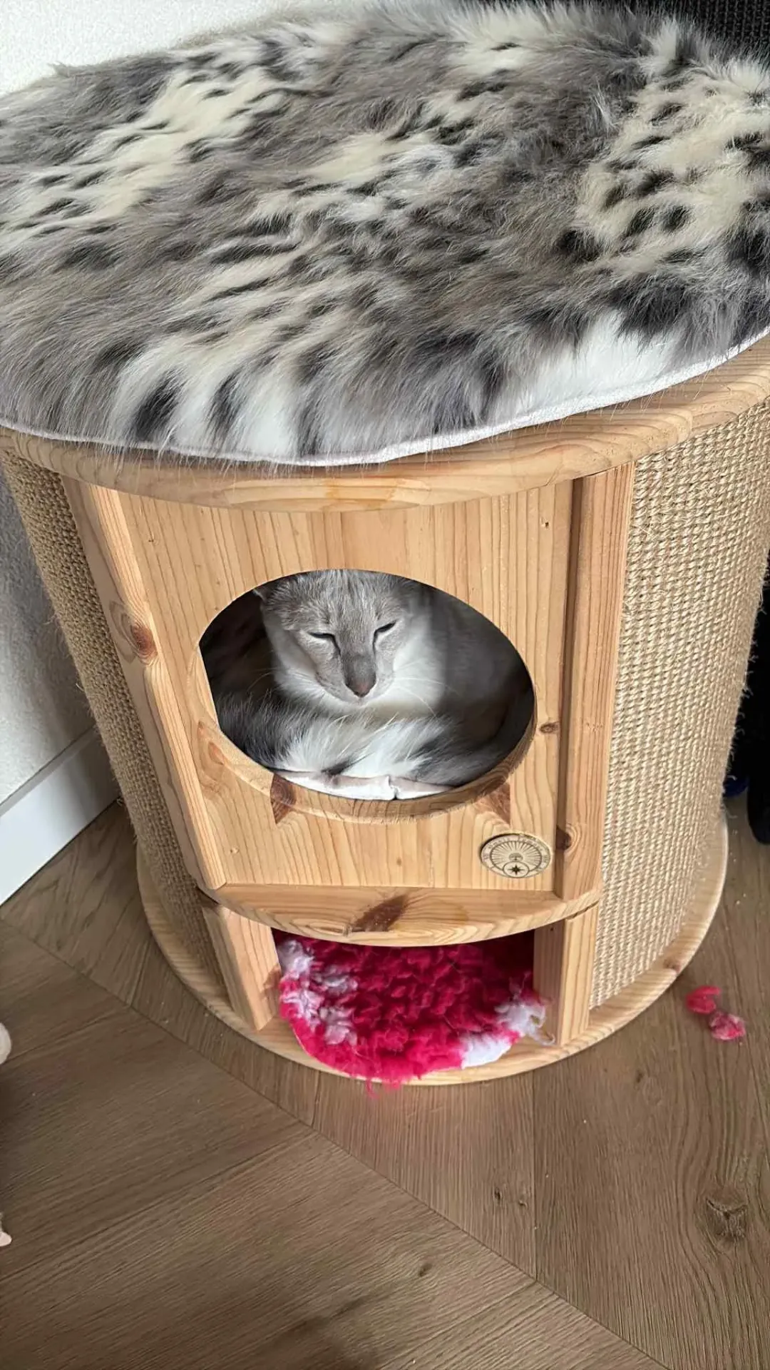 Cat tree Solid wood Belle level