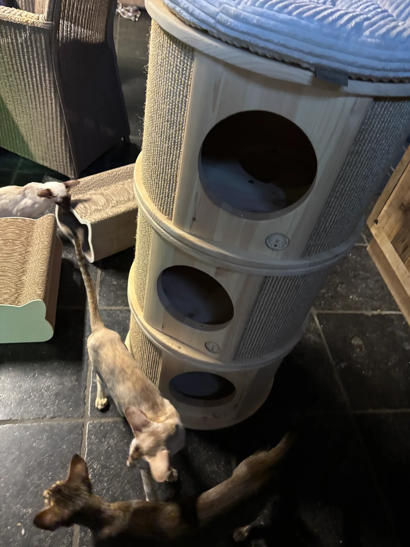 Cat Tower Solid Wood Tripple