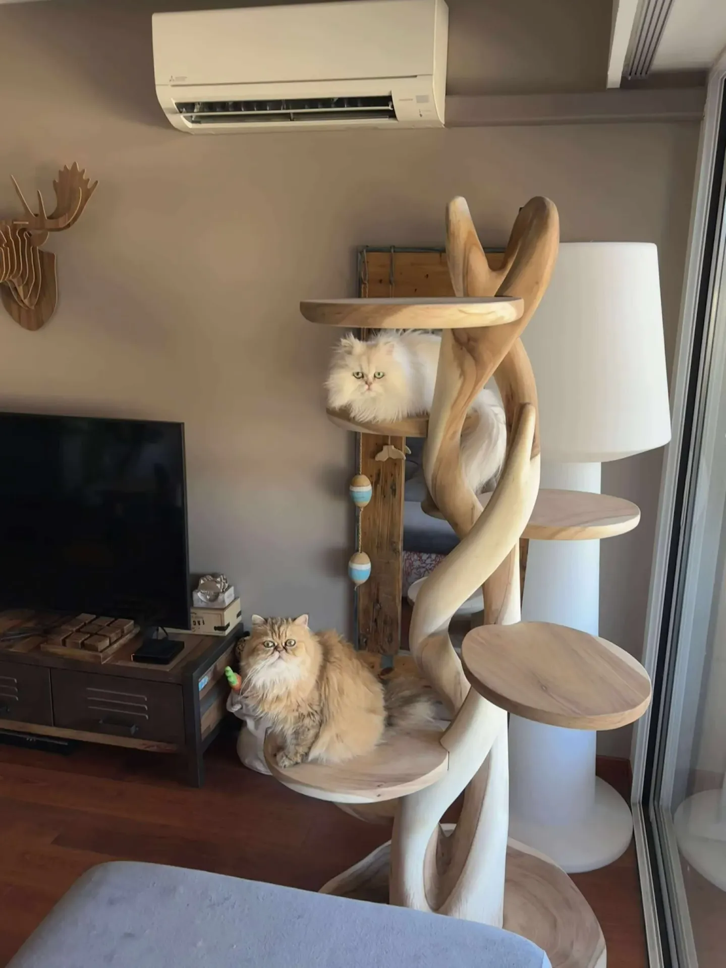 Maisonette Twister